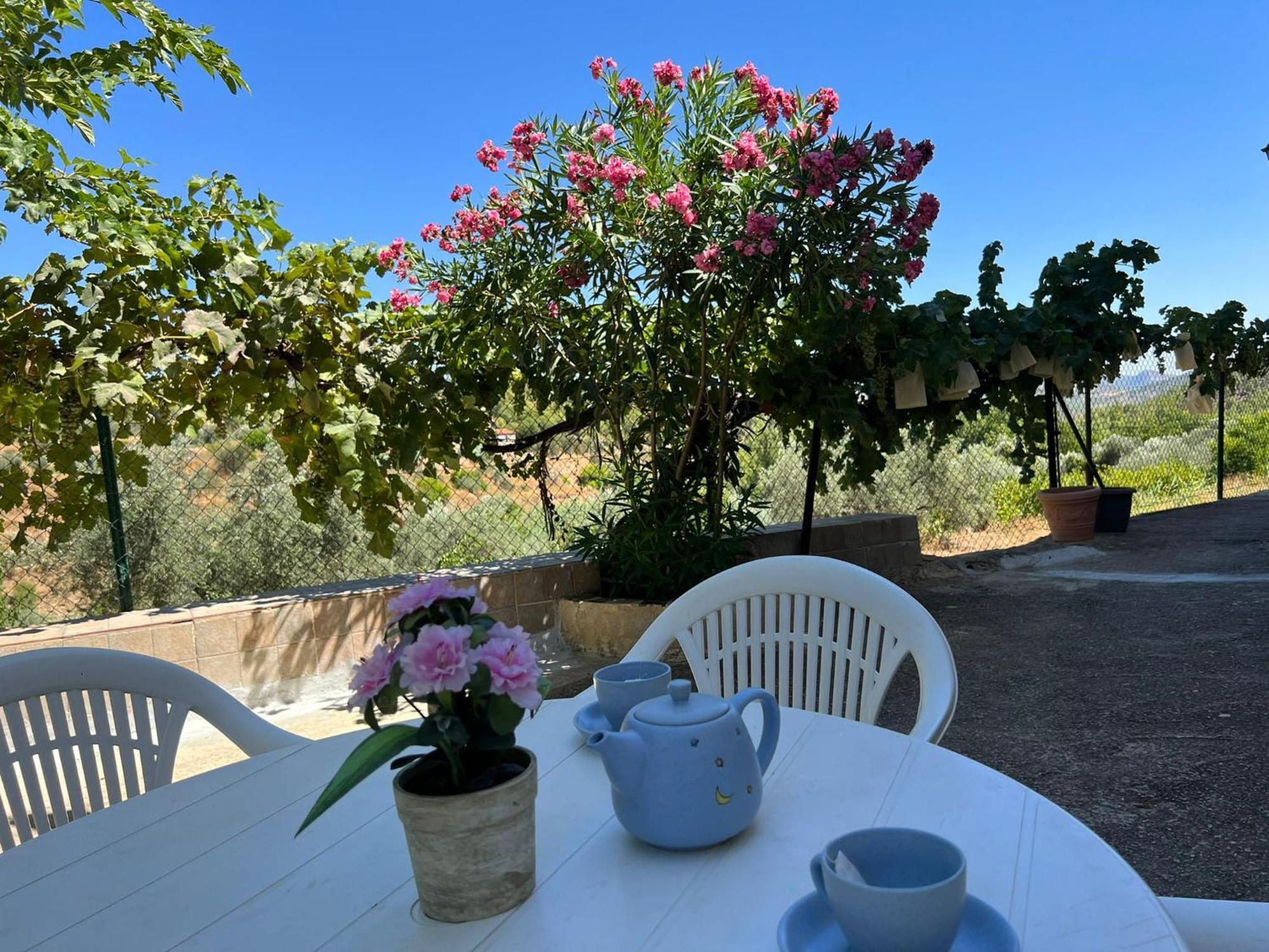 Casa Rural Del Saz Yeste Kültér fotó